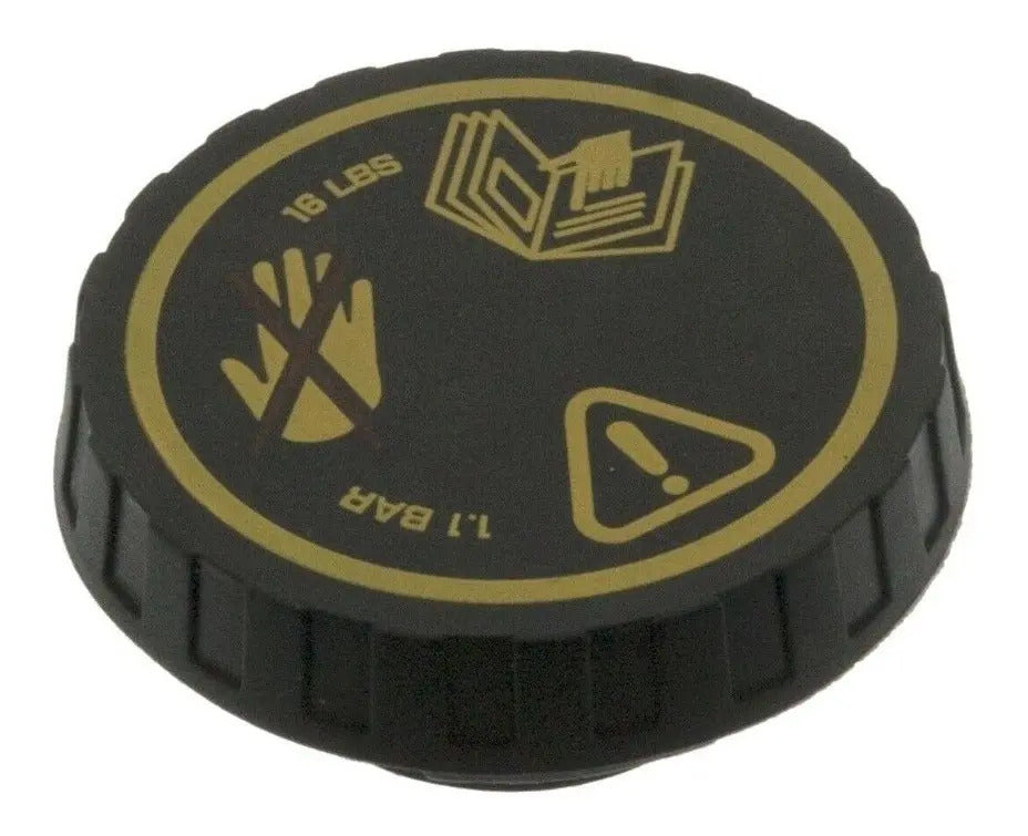 Mini Cooper Motor