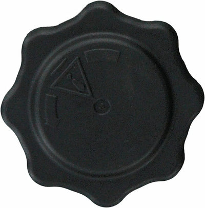 Tapon Deposito Anticongelante Motor Mini R53 W11 02 Al 06