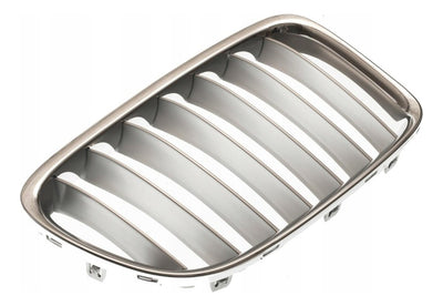 Parrilla Delantera Plateada Bmw X1 2010-2015
