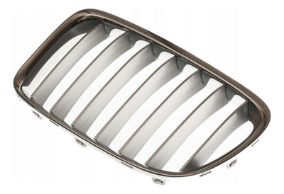 Parrilla Delantera Plateada Bmw X1 2010-2015