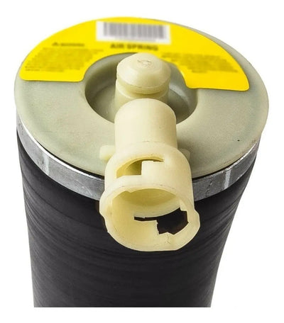 Amortiguador Aire Suspension Trasero Ford F150 F250 F350