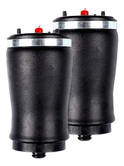 Par Bolsas De Aire Suspension Traseras Bmw X5 2002