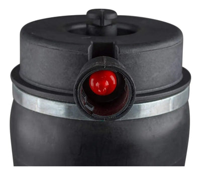 Bolsa Aire Suspension Trasera Ford Expedition 4x2 2001