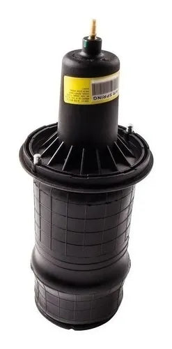 Bolsa Aire Suspens Delanter Land Rover Range Rover 2001