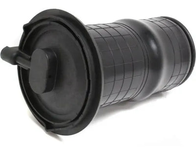 Bolsa Aire Suspensio Trasera Land Rover Range Rover 1997