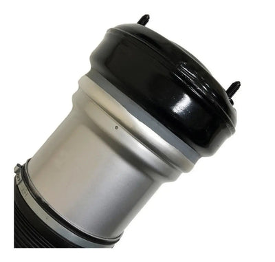 Bolsa De Aire Suspension Delantera Mercedes Benz S500 2001